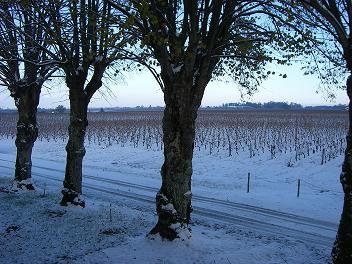 Neige